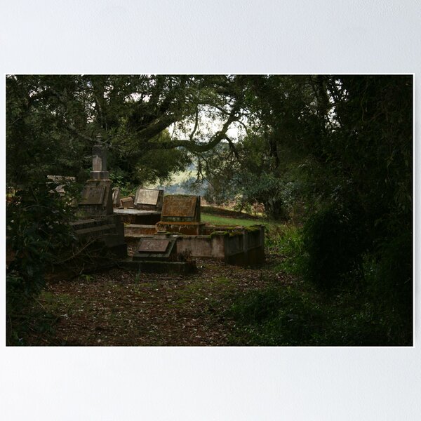 Item preview, Resting Place designed and sold by Danthesnapper.