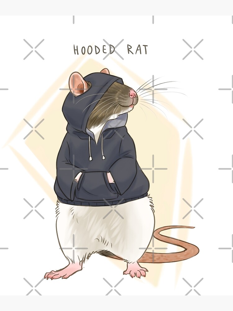 Hooded Rat | Poster