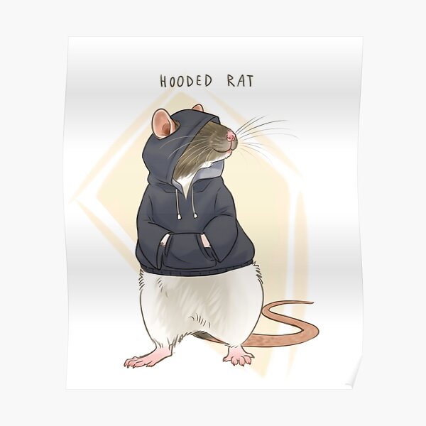 rat,fancy rat,hooded rat,pet,animals,rodent,pun.