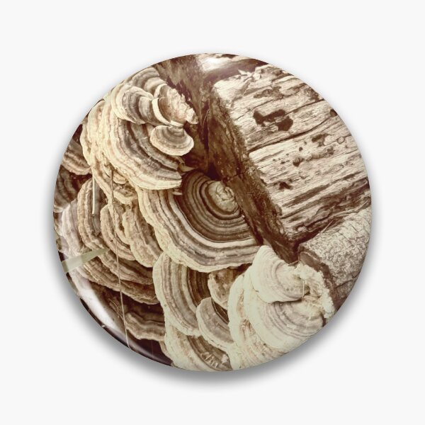 Item preview, Fungus in Gold designed and sold by Rose-Wise.
