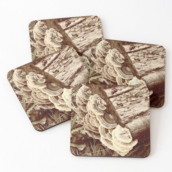 Item preview, Fungus in Gold designed and sold by Rose-Wise.