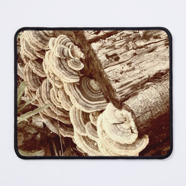 Item preview, Fungus in Gold designed and sold by Rose-Wise.