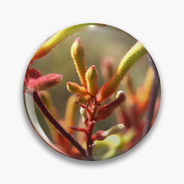 Item preview, Kangaroo Paw Blooms Close-Up - Magpie Springs designed and sold by MagpieSprings.