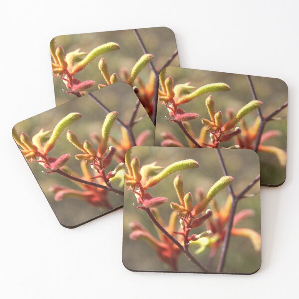 Item preview, Kangaroo Paw Blooms Close-Up - Magpie Springs designed and sold by MagpieSprings.