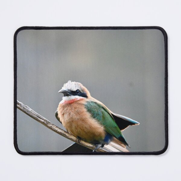 Item preview, Bird designed and sold by Fnsqn.