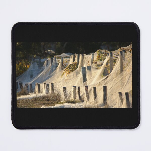Item preview, Shrouded Vines in Golden Light - Magpie Springs designed and sold by MagpieSprings.