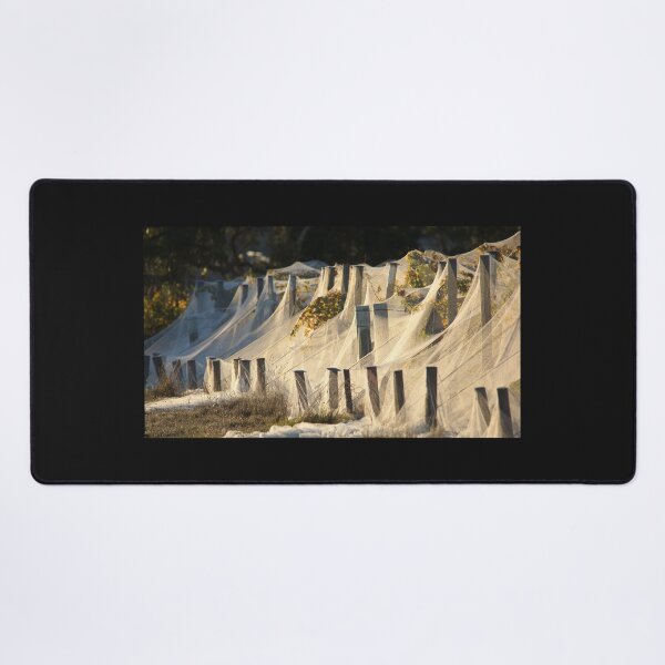 Item preview, Shrouded Vines in Golden Light - Magpie Springs designed and sold by MagpieSprings.
