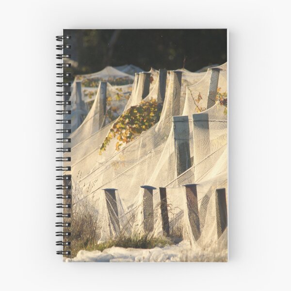 Item preview, Shrouded Vines in Golden Light - Magpie Springs designed and sold by MagpieSprings.