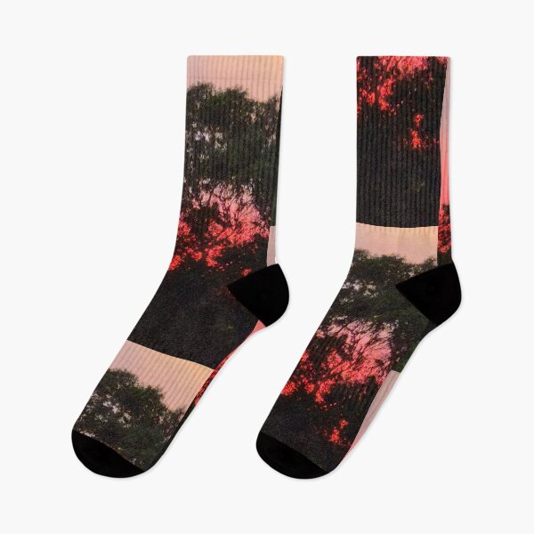 Item preview, Is That The Sunset?  designed and sold by Rose-Wise.