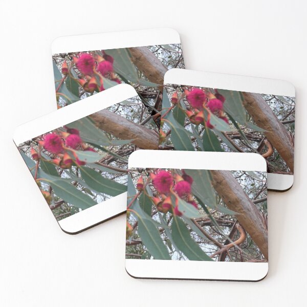 Item preview, Flowering Gumnuts designed and sold by Rose-Wise.