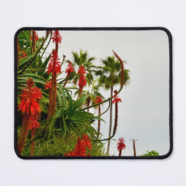Item preview, A Coastal Fuchsia Walk designed and sold by lilyymagno.