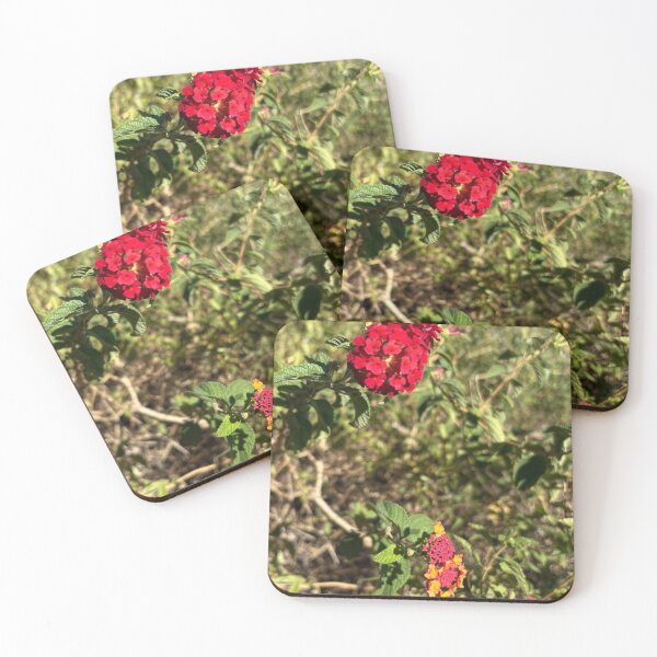 Item preview, Beautiful Red and Orange Wild Flowers,  designed and sold by Rose-Wise.