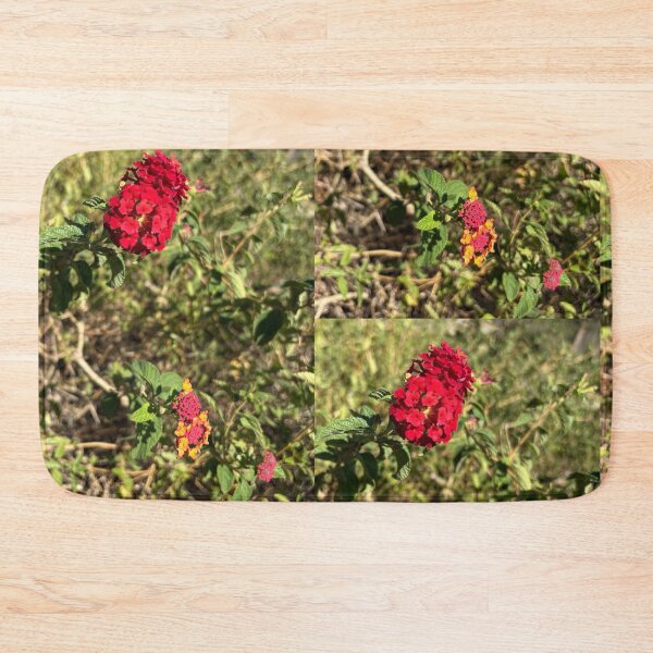 Item preview, Beautiful Red and Orange Wild Flowers,  designed and sold by Rose-Wise.
