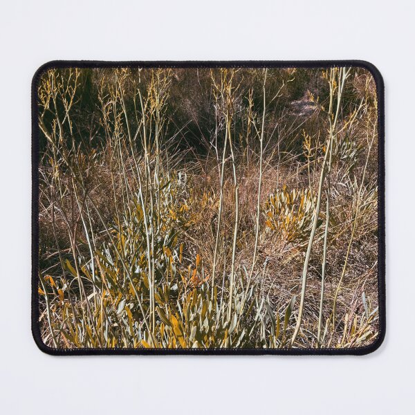 Item preview, Beautiful scenes found while hiking, designed and sold by Rose-Wise.