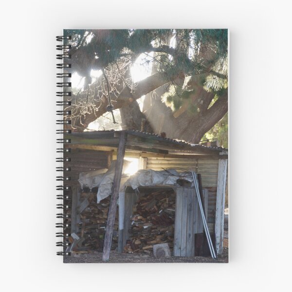 Item preview, Sunlit Old Woodshed Ruins - Magpie Springs designed and sold by MagpieSprings.