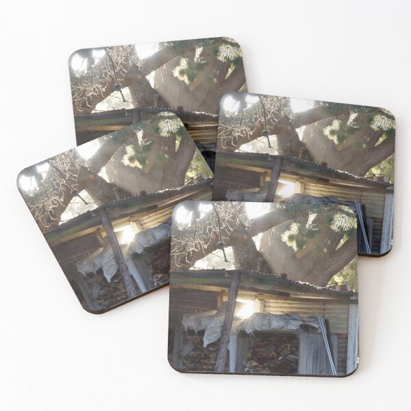 Item preview, Sunlit Old Woodshed Ruins - Magpie Springs designed and sold by MagpieSprings.