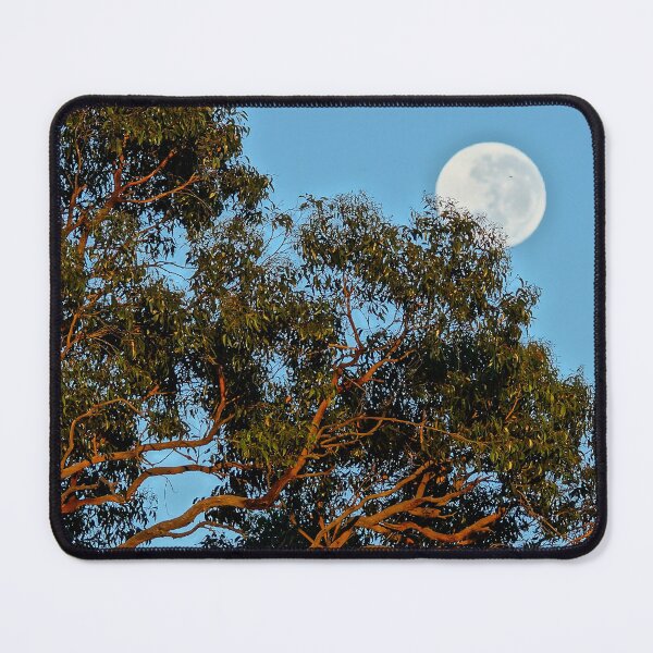 Item preview, Reaching to the Moon - Adelaide Hills - Fleurieu Peninsula - Australia designed and sold by MagpieSprings.