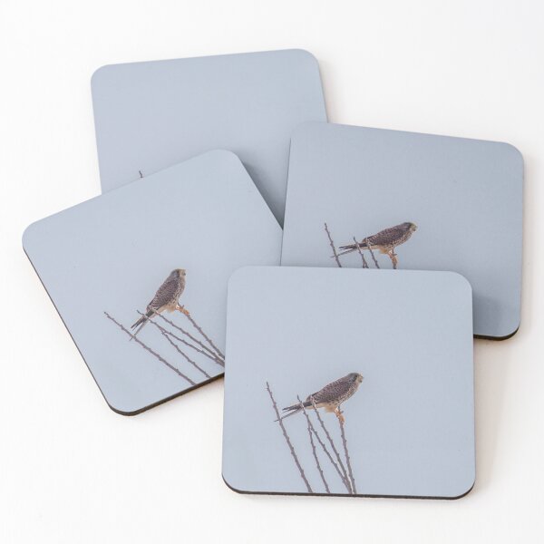 Item preview, Kestrel  designed and sold by Ralph Goldsmith.