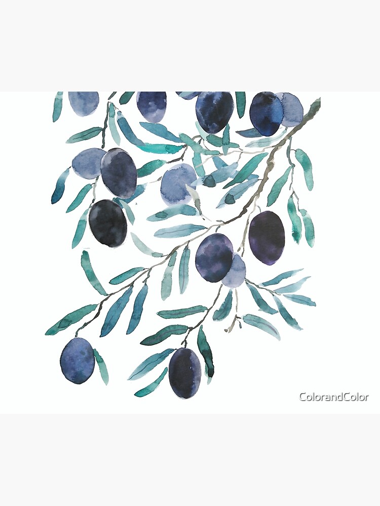 black olive watercolor by ColorandColor