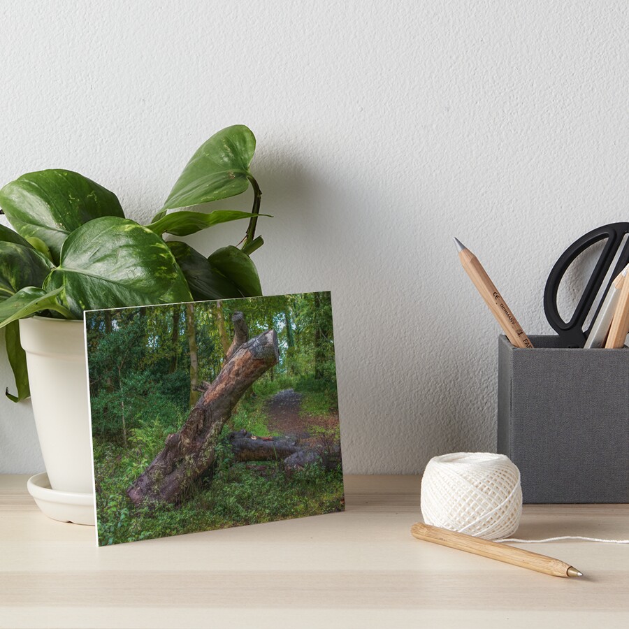 Item preview, Art Board Print designed and sold by RJWImages.