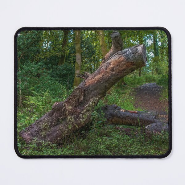 Item preview, Mighty tree fallen designed and sold by RJW Images.