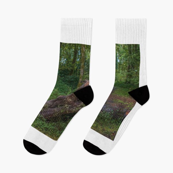Item preview, Mighty tree fallen designed and sold by RJW Images.