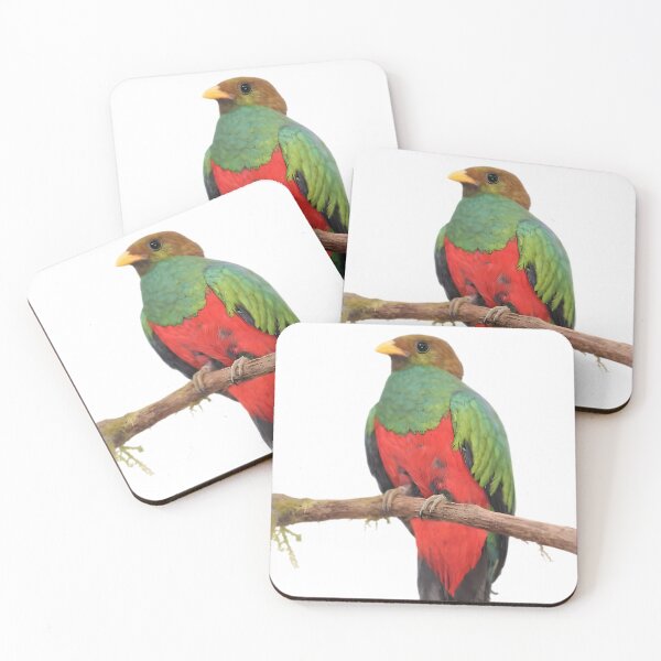 Item preview, Golden-headed Quetzal (Pharomachrus auriceps) designed and sold by HOMETOWN86.