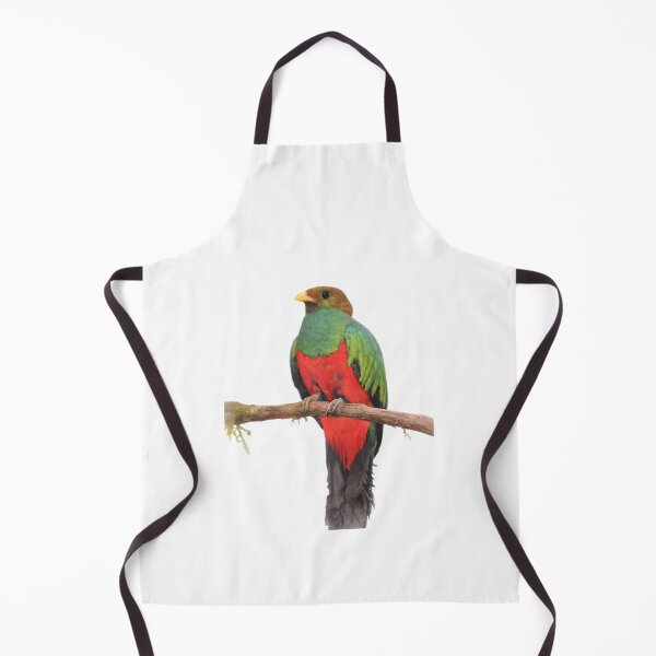 Item preview, Golden-headed Quetzal (Pharomachrus auriceps) designed and sold by HOMETOWN86.