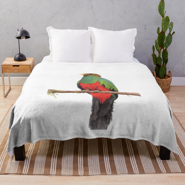 Item preview, Golden-headed Quetzal (Pharomachrus auriceps) designed and sold by HOMETOWN86.
