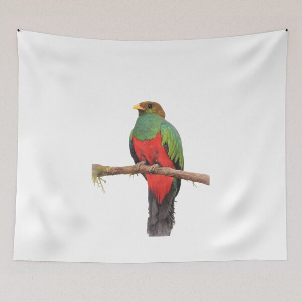 Item preview, Golden-headed Quetzal (Pharomachrus auriceps) designed and sold by HOMETOWN86.