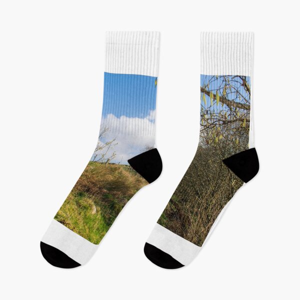 Item preview, Cornalees Woodland Walk designed and sold by RJW Images.