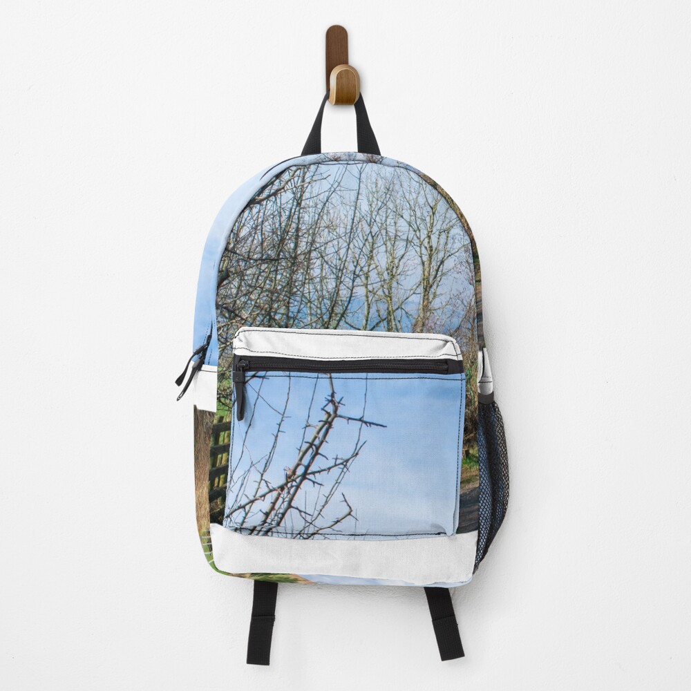 Item preview, Backpack designed and sold by RJWImages.
