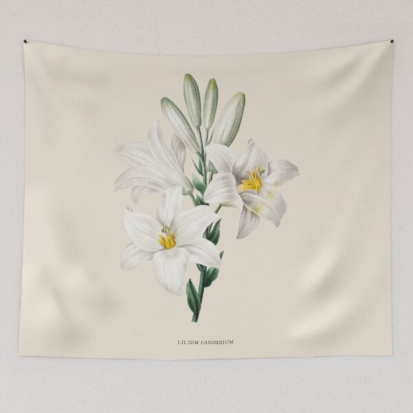 Item preview, Lilium Antique Botanical Illustration designed and sold by Antiquated Art.