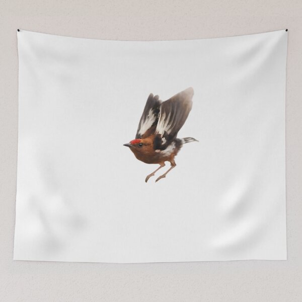 Item preview, Club-winged Manakin (Machaeropterus deliciosus) designed and sold by HOMETOWN86.