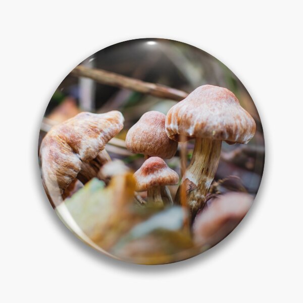 Item preview, Autumn's Mushroom Delights designed and sold by RJW Images.