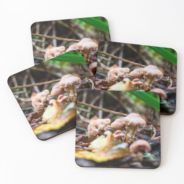 Item preview, Autumn's Mushroom Delights designed and sold by RJW Images.