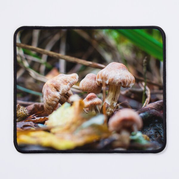 Item preview, Autumn's Mushroom Delights designed and sold by RJW Images.
