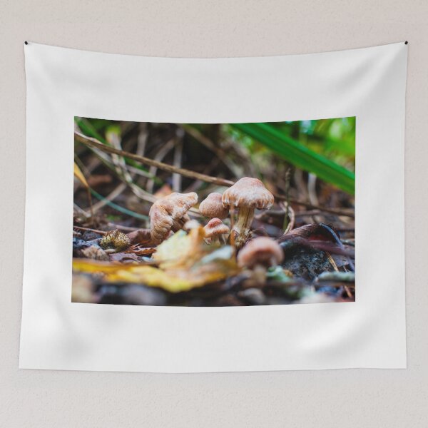 Item preview, Autumn's Mushroom Delights designed and sold by RJW Images.