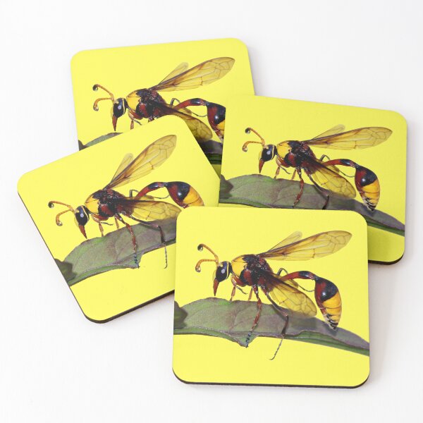 Item preview, Potter Wasp designed and sold by JacJaq.
