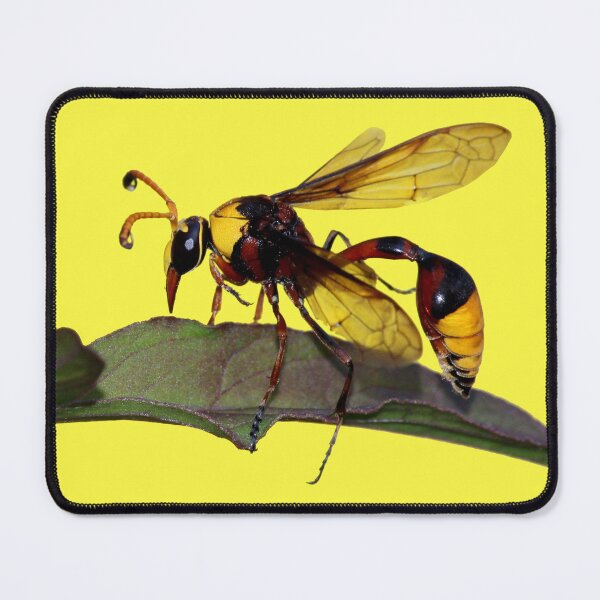 Item preview, Potter Wasp designed and sold by JacJaq.