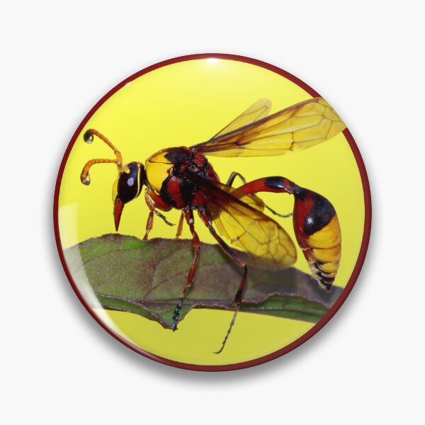 Item preview, Potter Wasp designed and sold by JacJaq.