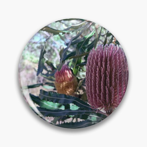 Item preview, More beautiful Banskia flowers  designed and sold by Rose-Wise.