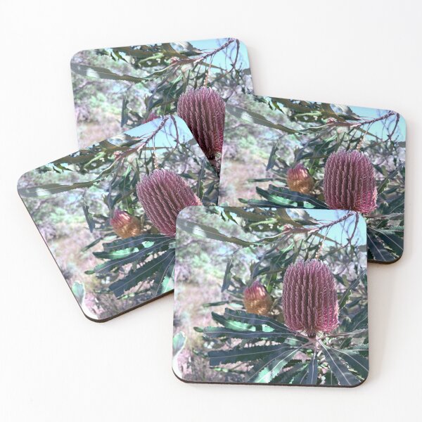 Item preview, More beautiful Banskia flowers  designed and sold by Rose-Wise.