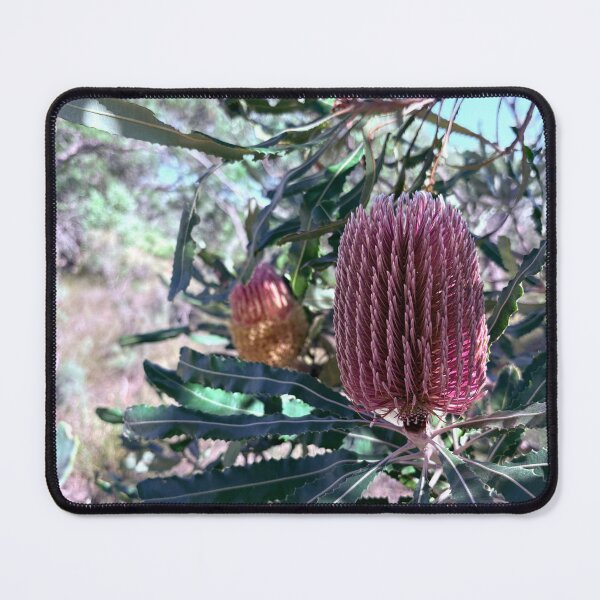 Item preview, More beautiful Banskia flowers designed and sold by Rose-Wise.
