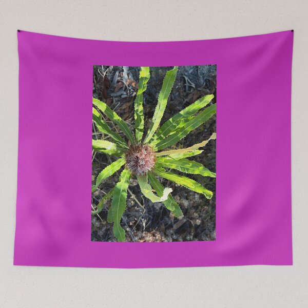 Item preview, Single Banskia designed and sold by Rose-Wise.
