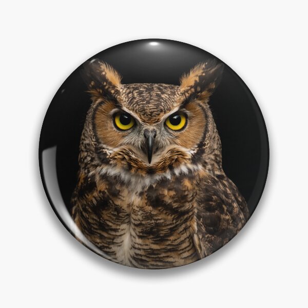 Item preview, Owl designed and sold by sissymoon22.