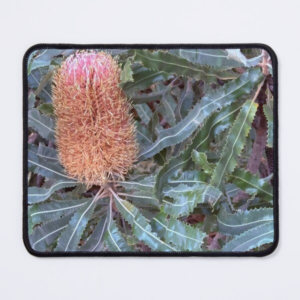Item preview, The Great Banksia designed and sold by Rose-Wise.