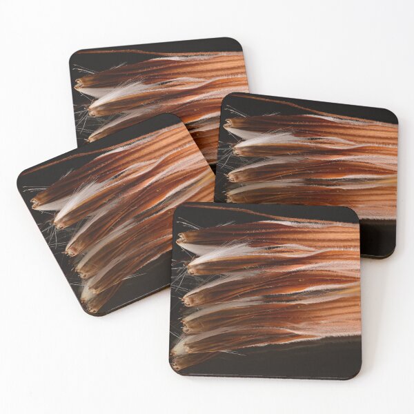 Item preview, Protea Seed Macro Texture designed and sold by Goiko7Margarita.