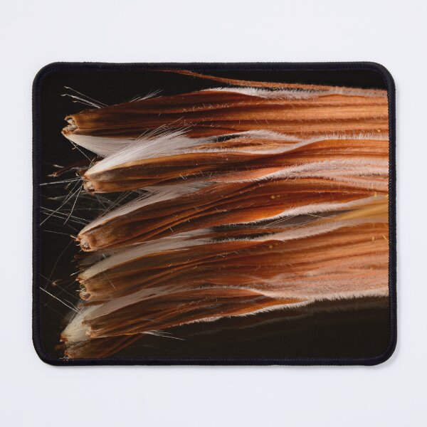 Item preview, Protea Seed Macro Texture designed and sold by Goiko7Margarita.