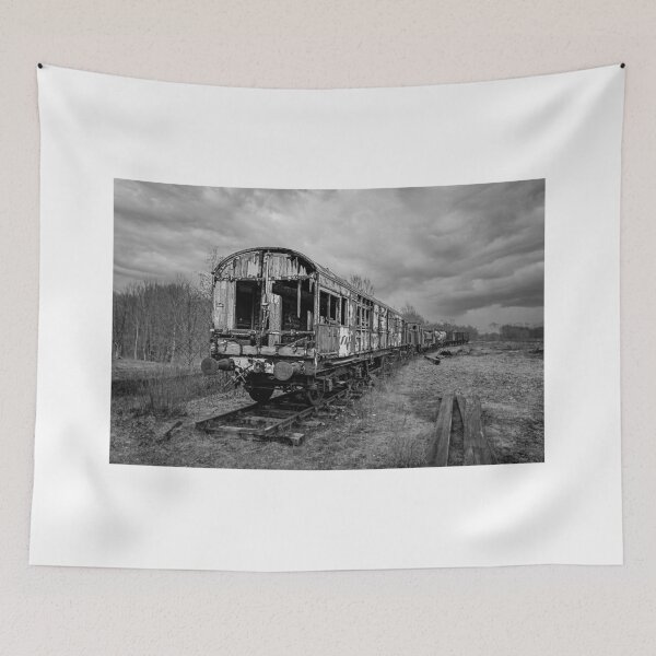 Item preview, Abandoned Train designed and sold by RJW Images.